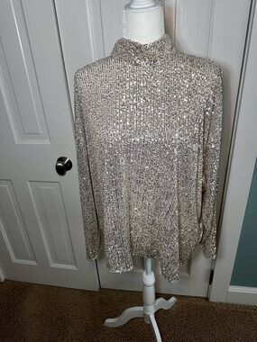 H&M Champagne Sequin Mesh Top